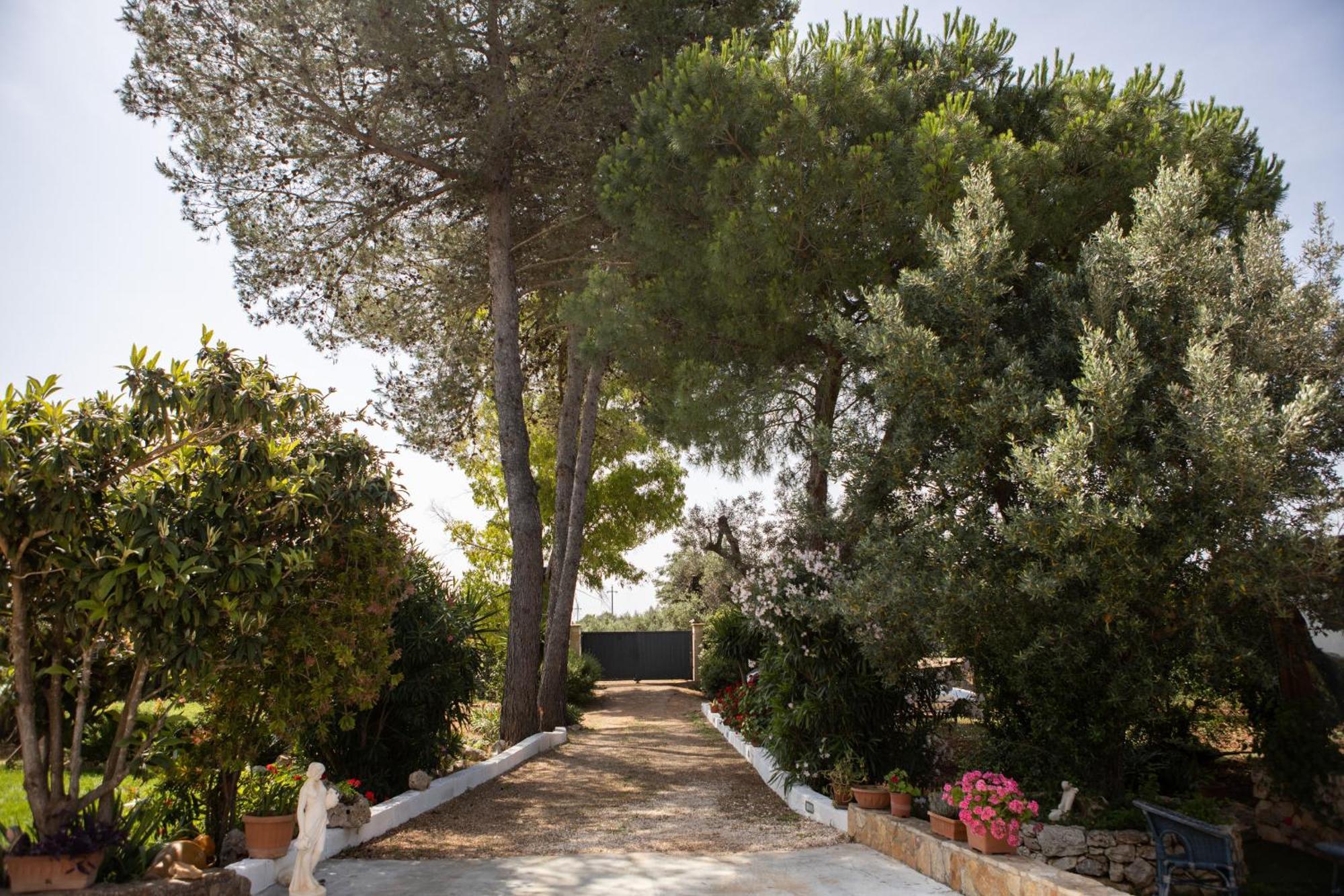 Trullo Nonna Netta Con Piscina Idromassaggio E Area Giochi Villa Ceglie Messapica Dış mekan fotoğraf