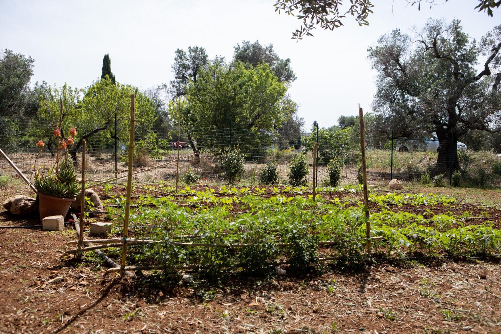 Trullo Nonna Netta Con Piscina Idromassaggio E Area Giochi Villa Ceglie Messapica Dış mekan fotoğraf
